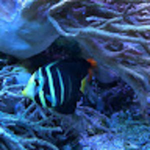 Meet your Posher, Arilyn